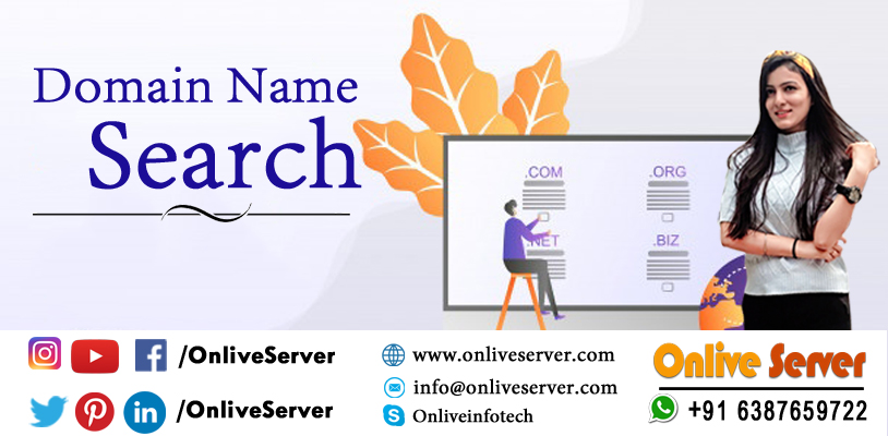 Domain Name Search