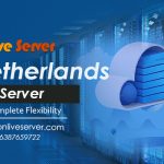 Easily Managed VPS Server in the Netherlands from Onlive Server