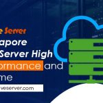 How to Choose the Right Singapore VPS Server for Your Business