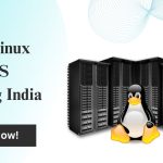 Best Linux VPS Hosting India Offer SSD Storage and High-Speed